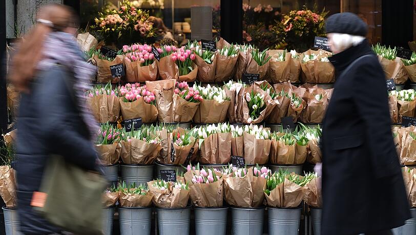Für Tulpen müssen Verbraucher in diesem Jahr tiefer in die Tasche greifen. (Archivbild)