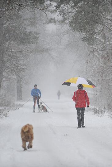 Doch wer da in der Ferne entgegenkommt, lässt sich vor lauter Schneeflocken nur schwer ausmachen.