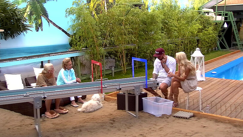 Alle Bilder aus dem Container: Promi-Big-Brother 2013