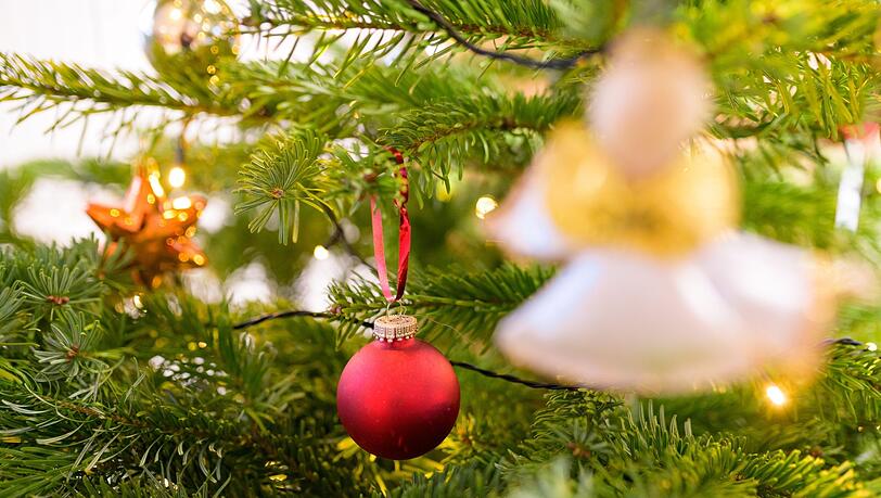 Ein geschmückter Tannenbaum.