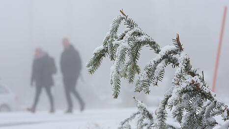 In den Mittelgebirgen wie dem Harz wird am Mittwoch Neuschnee erwartet.