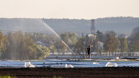 Im Knoblauchsland wird mit Flusswasser bew&auml;ssert. (Archivbild)