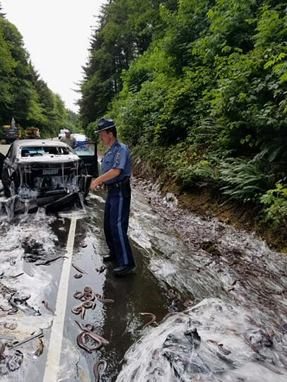 Glitschiger US-Highway gesperrt
