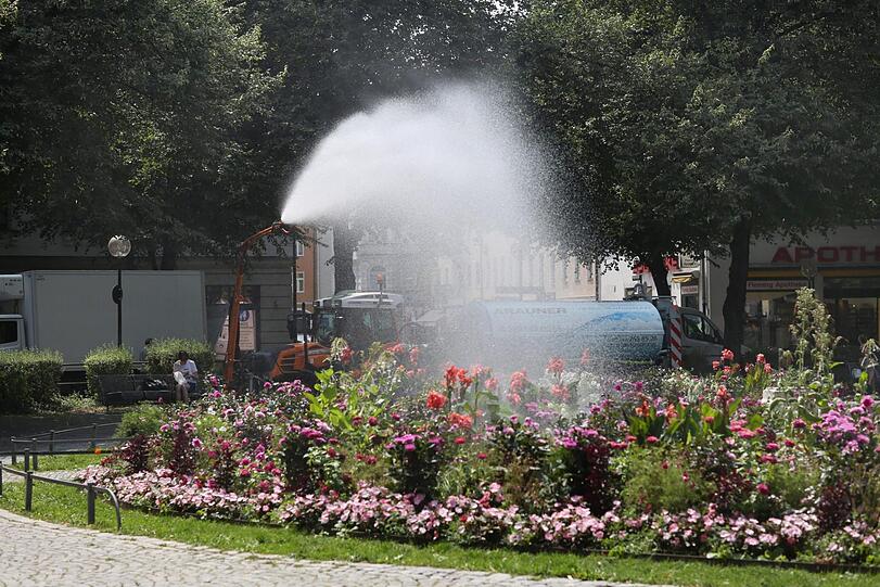 Ein Tankfahrzeug gießt gleich im großen Stil.
