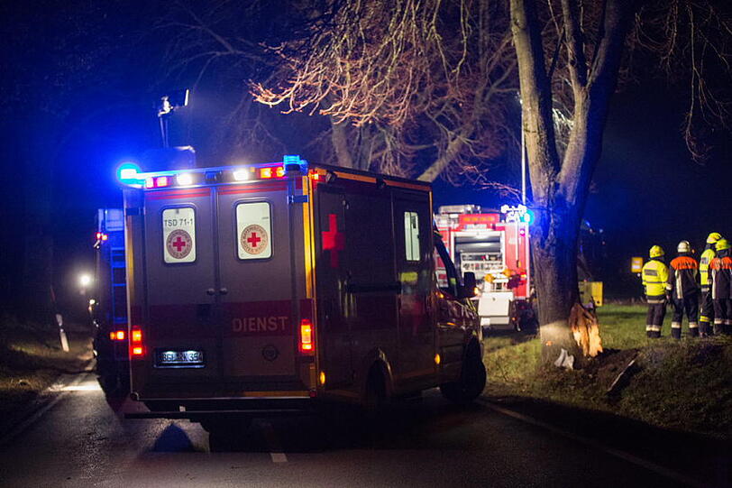 Schwerer Unfall bei Anger: BMW kracht gegen einen Baum - Bayern - Abendzeitung München