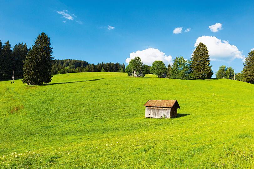 Oberhalb von Breiten kann man sattes Grün bestaunen.