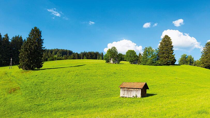 Oberhalb von Breiten kann man sattes Grün bestaunen. Oberhalb von Breiten kann man sattes Grün bestaunen.