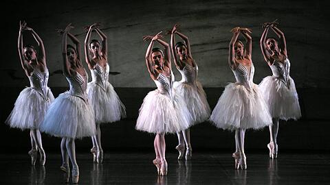 Die Schwäne in Ray Barras Version "Schwanensee" für das Bayerische Staatsballett.