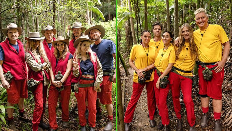 Die Bewohner des Dschungelcamps wohnen seit dem zweiten Tag alle zusammen.