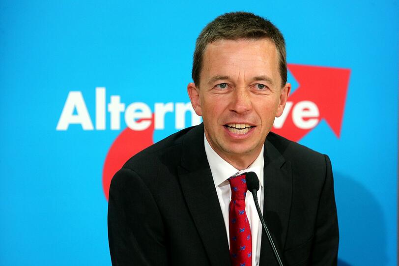 AfD-Chef Lucke will durchsetzen, dass es künftig nur noch einen Parteivorsitzenden gibt statt wie bisher drei. Foto: Wolfgang Kumm/Archiv
