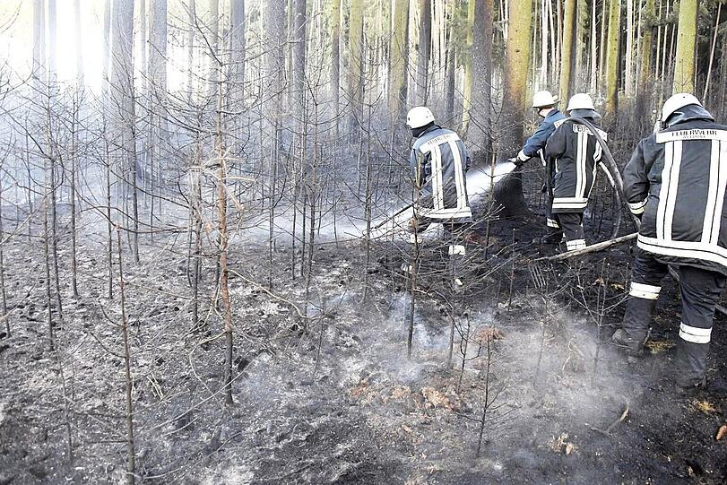 In der Nähe von Landshut standen am Freitagabend knapp 20.000 Quadratmeter Wald in Flammen. Rund 300 Einsatzkräfte waren bis tief in die Nacht im Einsatz, um den Brand unter Kontrolle zu bekommen.