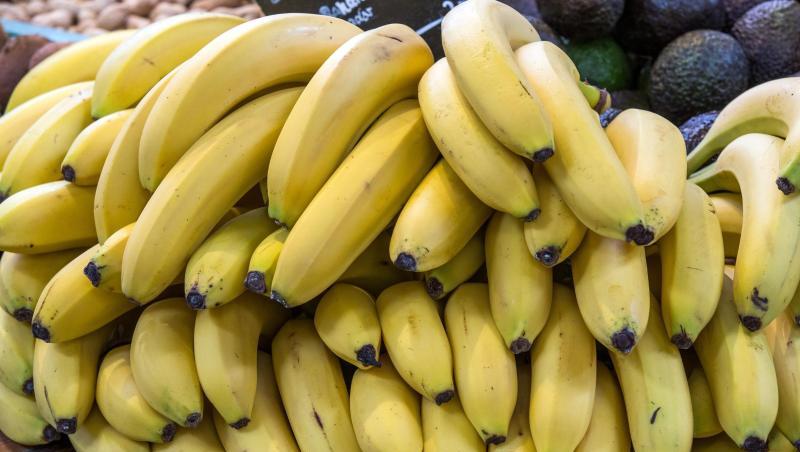 "Cavendish"-Bananen machen einen Anteil von mehr als 90 Prozent auf dem deutschen Markt aus. Symbolbild: Jens Büttner "Cavendish"-Bananen machen einen Anteil von mehr als 90 Prozent auf dem deutschen Markt aus. Symbolbild: Jens Büttner