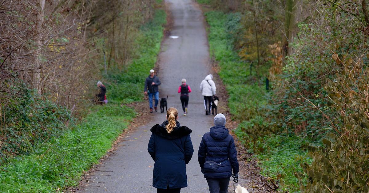 Mildes-Wetter-zum-meteorologischen-Winteranfang