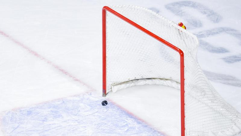 Ein Gegentor gegen die Nürnberg Ice Tigers. Foto: Uwe Anspach/Archivbild Ein Gegentor gegen die Nürnberg Ice Tigers. Foto: Uwe Anspach/Archivbild
