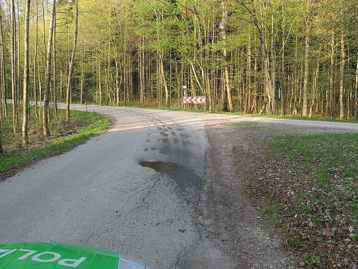 Ein an anderer Stelle gefundener Ölfleck.