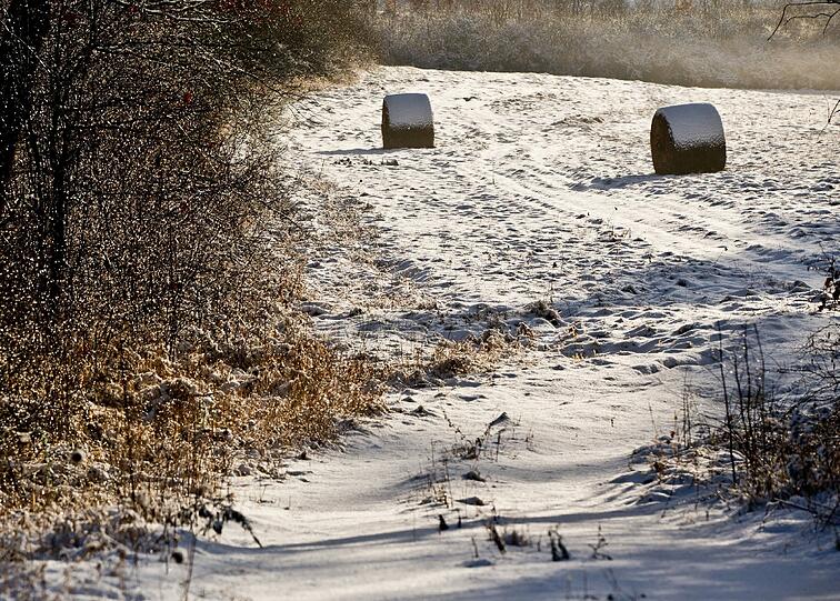 Endlich ist er da: der Winter! Wir zeigen die schönsten Schneebilder aus Bayern.