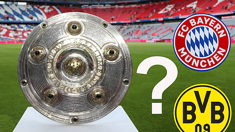 Schneckenrennen um die Schale. Wer wird am Ende Deutscher Meister?