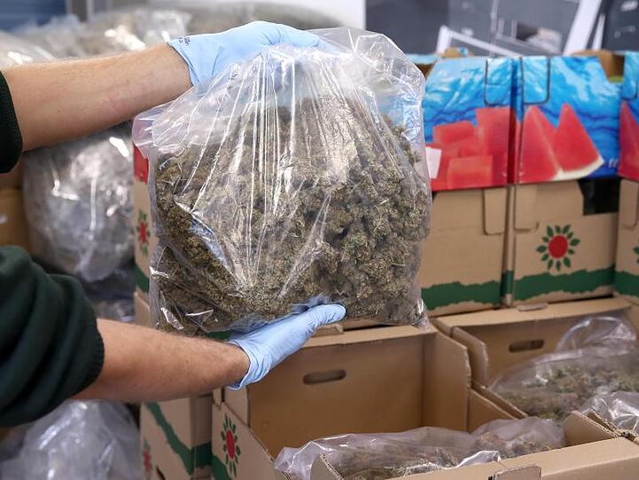 Ein Mitarbeiter des Zolls hält Marihuana in der Hand, welches verpackt in Plastikbeuteln in Obstkisten liegt. Foto: Daniel Karmann
