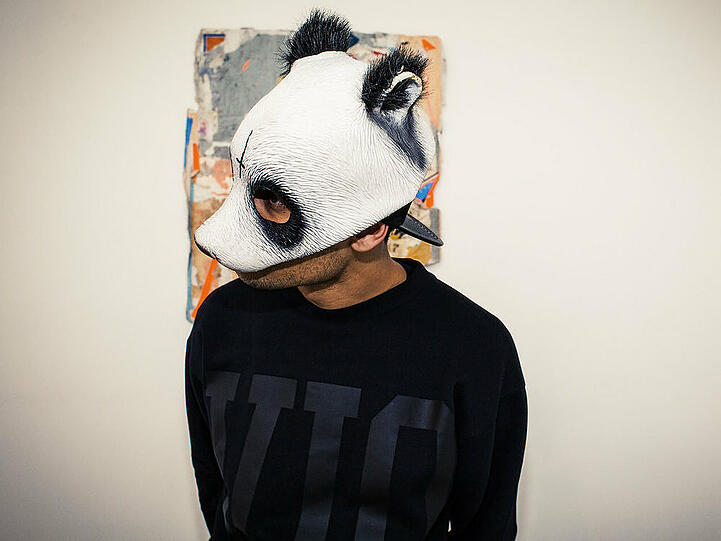 Cro: Wer ist der Typ hinter der Maske?
