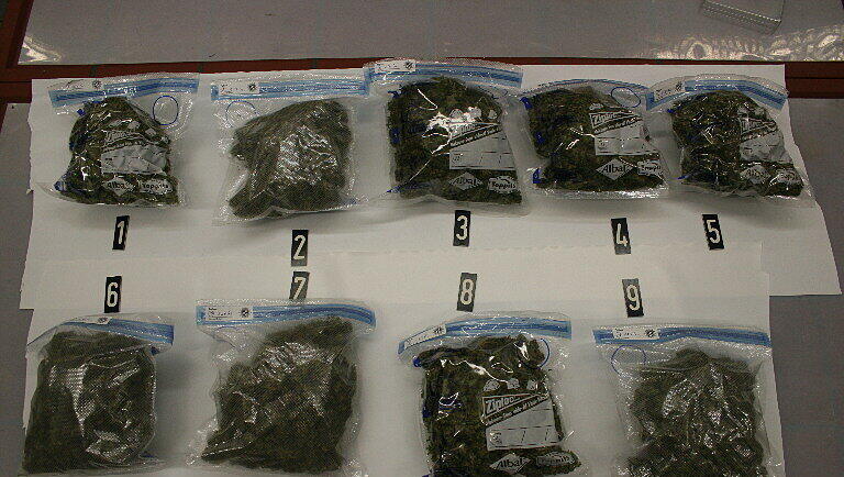 Neun Tüten Marihuana hatte ein Autofahrer an Bord, als er auf der A8 bei Irschenberg aus dem Verkehr gezogen wurde. Neun Tüten Marihuana hatte ein Autofahrer an Bord, als er auf der A8 bei Irschenberg aus dem Verkehr gezogen wurde.