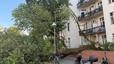 Um die Sturmschäden zu beseitigen, musste die Feuerwehr am Montagabend zu zahlreichen Einsätzen ausrücken.