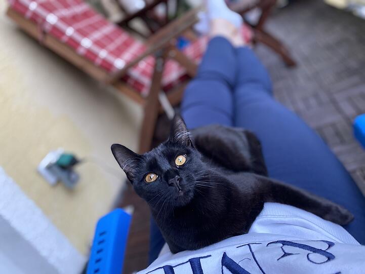 Mila