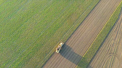 Angespannte weltweite Agrarm&auml;rkte und h&ouml;here Energiepreise infolge des Ukraine-Krieges haben Auswirkungen auf das Gesch&auml;ft der deutschen Landwirte gehabt.