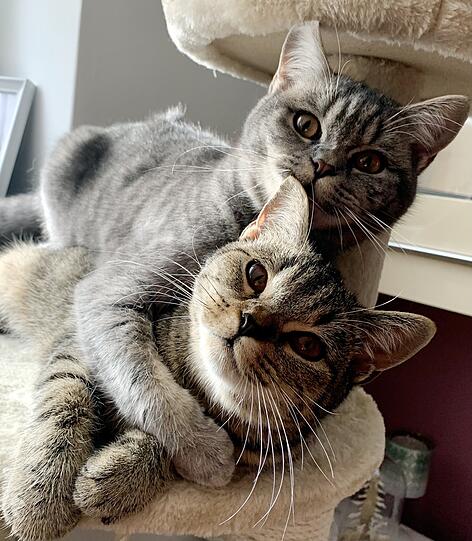 Mimi und Minca