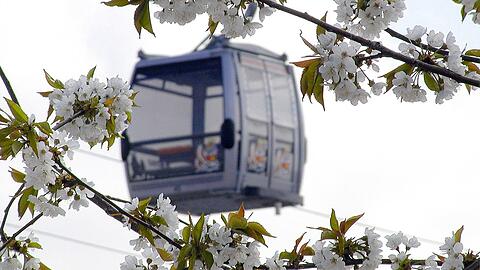 Bei der Buga 2005 gab es schon einmal eine Seilbahn in Riem - allerdings nur kurzzeitig. Welche Seilbahnen sollen in München nun noch folgen?