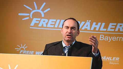 Der bayerische Landesvorsitzende der Freien Wähler, Hubert Aiwanger, hält eine Rede. Foto: Nicolas Armer/dpa/Archivbild