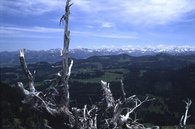 Der Hauptkamm der Allgäuer Alpen.
