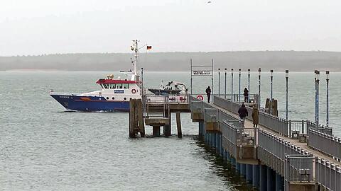 Die Einsatzkr&auml;fte suchen den Wal seit dem Morgen wieder von Wasser aus.