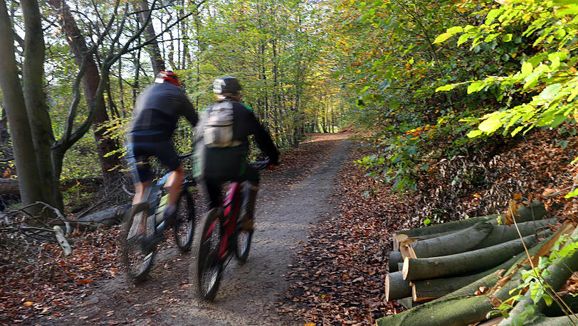 Der vorausfahrende Mountainbiker verlor die Kontrolle und verletzte sich tödlich (Symbolbild).