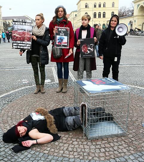 Am Odeonsplatz geht's ebenfalls gegen Pelzmode: Fast gleichzeitig protestiert die israelische Bewegung "269life".