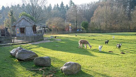 Nach Auffassung des Landgerichts Stralsund hat der Vogelpark Marlow seine Pflichten erf&uuml;llt. (Archivbild)