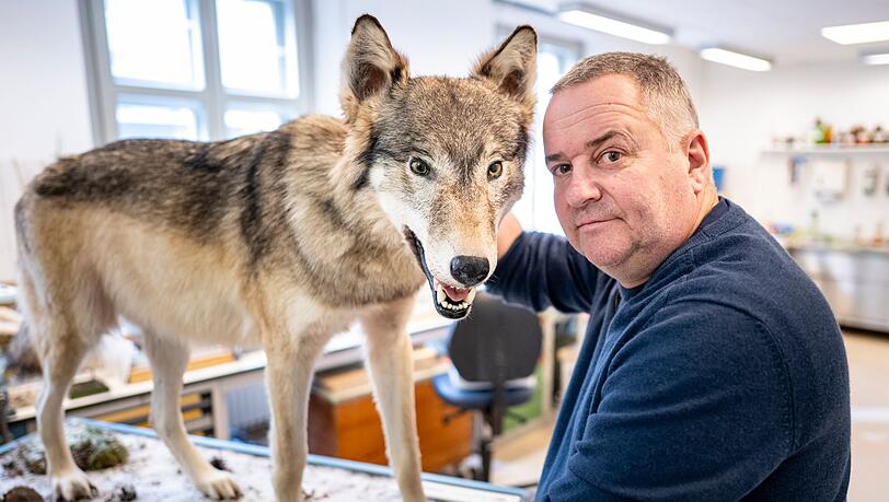 Tierpr&auml;parator Christian Blumenstein mit W&ouml;lfin "Bella".