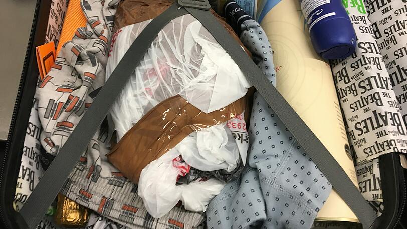 So war die Schildkröte im Koffer transportiert worden - zwischen Champagner und Klamotten.