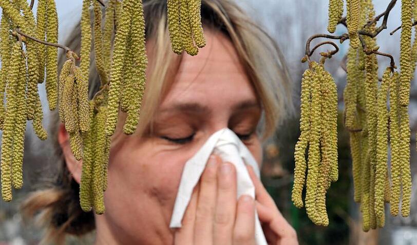 Geht das schon wieder los: Wenn die Pollen im Frühjahr zum Großangriff müssen viele Allergiker zu Mitteln aus der Apotheke greifen.