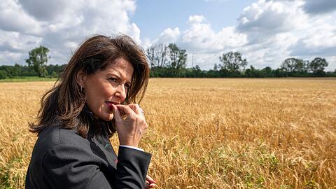 Bayerns Agrarministerin will keine weiteren Verschärfungen der EU-Regeln für die bayerische Landwirtschaft (Archivbild).