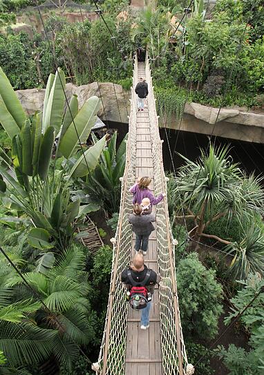 Besucher gehen in der Tropenhalle Gondwanaland im Zoo Leipzig über eine Hängebrücke.