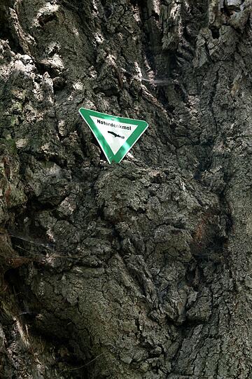 So sieht es aus, das Naturdenkmal-Zeichen.