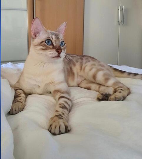 Oona
