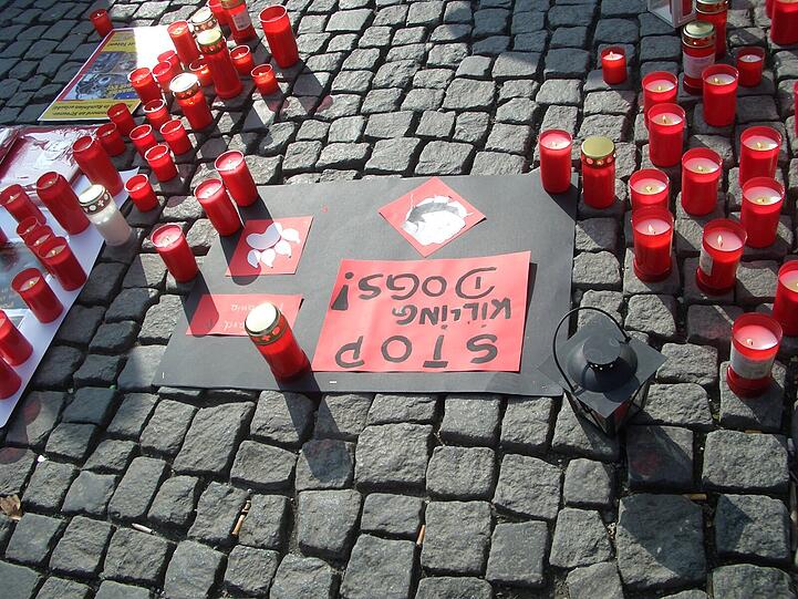 Um die 150 Tierfreunde waren am Rindermarkt, um mit Plakaten, Flyern, Bannern und Gesprächen über die Streunerproblematik und die grausamen Tötungen der Hunde in Rumänien aufzuklären.