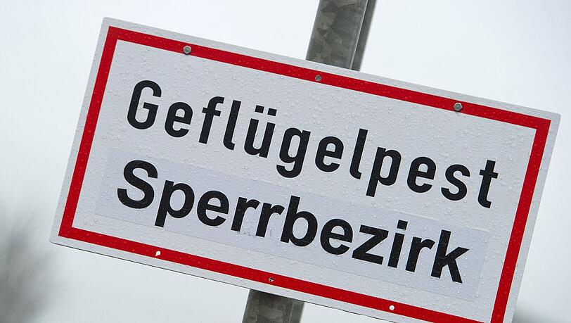 Ein Schild mit der Aufschrift "Geflügelpest Sperrbezirk".