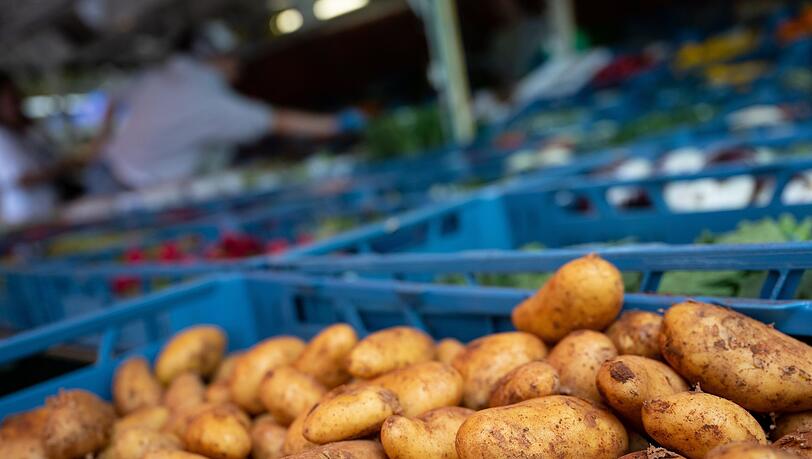 Experten wollen informieren, wie die Kartoffelernte in Bayern in diesem Jahr ausfällt. (Symbolbild)