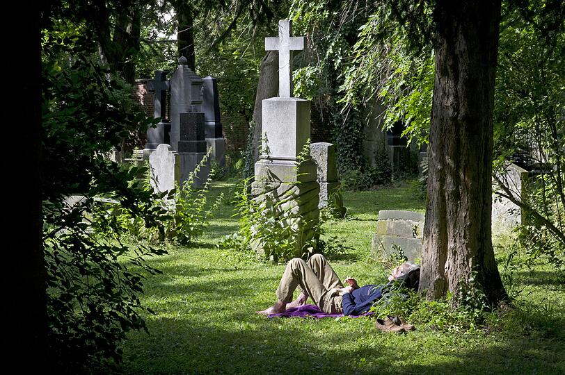 Am Nordfriedhof ist es im Sommer grün, aber ohne Wildblumen.