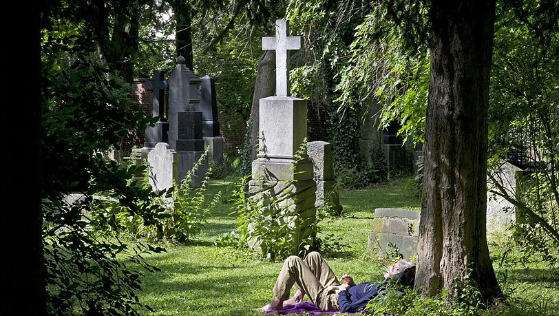 Am Nordfriedhof ist es im Sommer grün, aber ohne Wildblumen. Am Nordfriedhof ist es im Sommer grün, aber ohne Wildblumen.