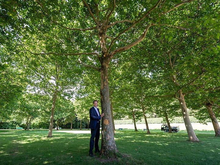 Markus Söder (CSU), Ministerpräsident von Bayern, steht neben einem Baum. Foto: Peter Kneffel