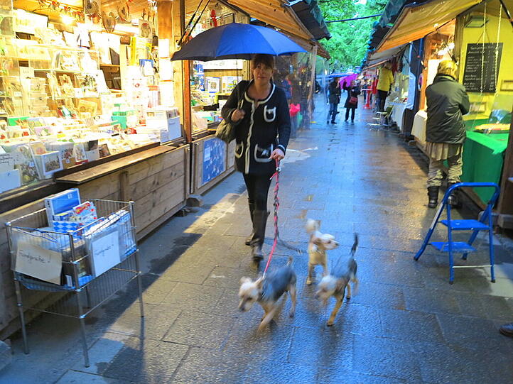 Gassigehen bei Hundewetter.