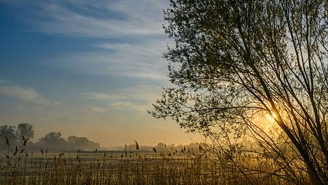 Nach einem sonnigen Start in den Ostersonntag droht es in Teilen Deutschlands, ungemütlich zu werden.